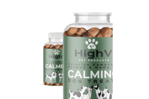 All You Need to Know About Pet CBD