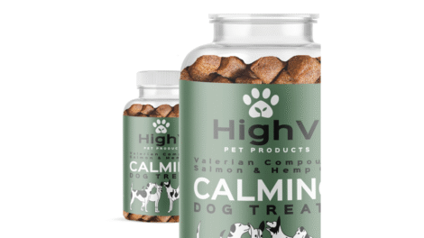 All You Need to Know About Pet CBD