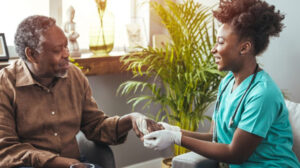 Sunsets Citrus and Stories A Locals Guide to Granada Hills